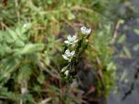 ���E�Z���S�P