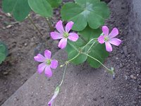 �����T�L�J�^�o�~