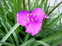 �����T�L�c���N�T