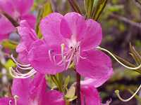 �����T�L���V�I