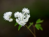 �i�K�o�J���}�c