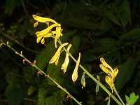 �i�K�~�m�c���L�P�}��