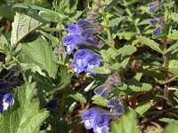 �i�~�L�\�E