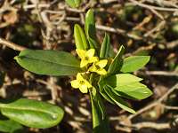 �G�]�I�j�V�o��