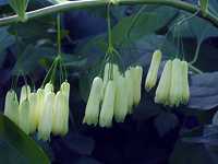 �i���R����