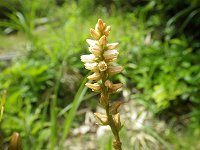 �l�o���m�M����