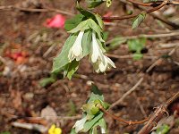 �A���Q�q���E�^���{�N