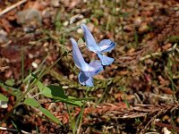 �G�]�G���S�T�N