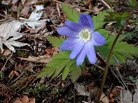 �L�N�U�L�C�`�Q