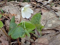 �~���}�J�^�o�~