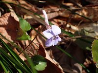 �i�K�n�V�X�~��