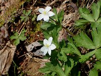 �j�����\�E