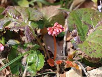 �I�I�C���J�K�~