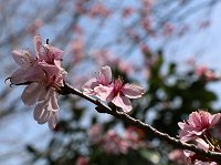 �I�I���}�U�N��