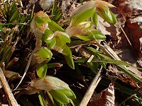 �V��������