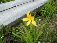 �j�b�R�E�L�X�Q