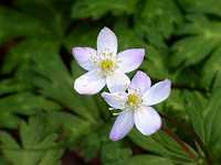 �j�����\�E