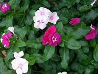 �j�`�j�`�\�E