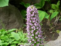 �m�r�l�`�h��