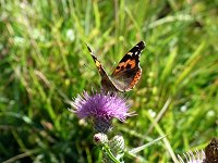 �m�n���A�U�~