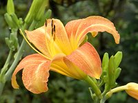 �m�J���]�E