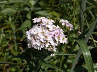 �m�R�M���\�E