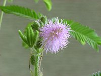 �I�W�M�\�E