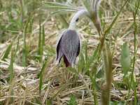 �I�L�i�O�T