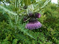 �I�j�A�U�~