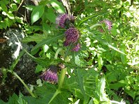 �I�j�A�U�~