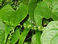 �I�j�h�R��