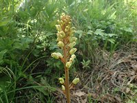 �I�j�m���K��