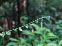 �I�j�����\�E