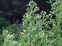 �I�I�A���`�m�M�N