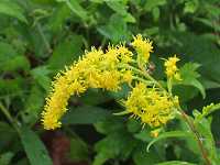 �I�I�A���_�`�\�E