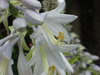 �I�I�o�M�{�E�V