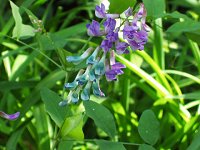 �I�I�o�N�T�t�W