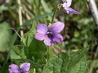 �I�I�o�^�`�c�{�X�~��