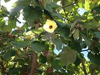 �I�I�n�}�{�E