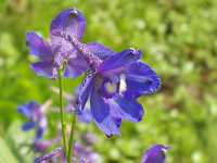 �I�I�q�G���\�E