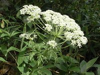 �I�I�J�T���`