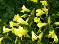 �I�I�L�o�i�J�^�o�~