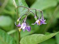 �I�I�}���o�z���V