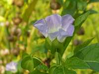 �I�I�Z���i��