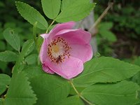 �I�I�^�J�l�o��