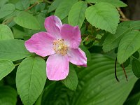 �I�I�^�J�l�o��