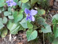 �I�I�^�`�c�{�X�~��