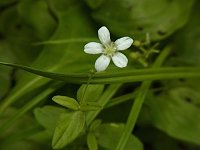 �I�I���}�t�X�}