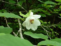 �I�I���}�����Q