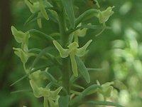 �I�I���}�T�M�\�E